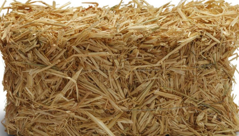 Straw Bale